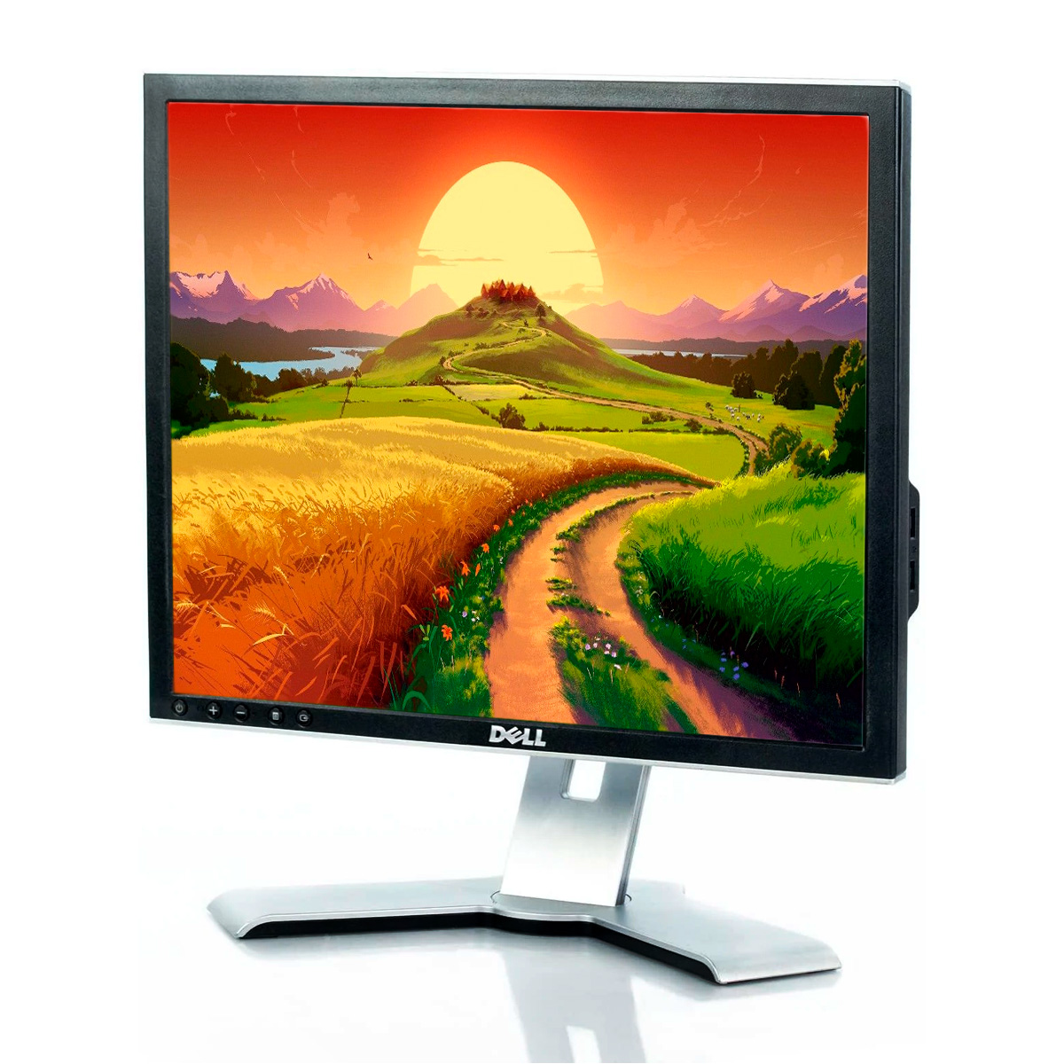 Monitor Dell Quadrado P170FP 17'' LCD com Resolução de 1280x1024 Conexões DVI e VGA Altura Ajustável Imagem 1